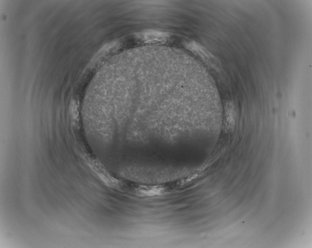 X0000085810667200704131948