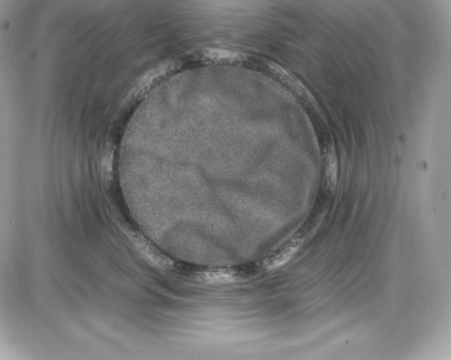 X0000085810668200704131948