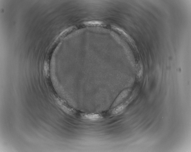 X0000085810669200704131948