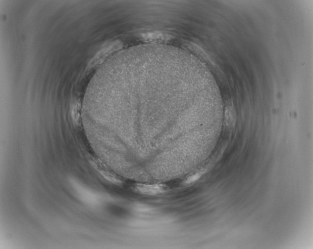 X0000085810671200704131948