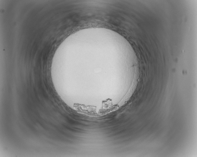 X0000085810672200704131948