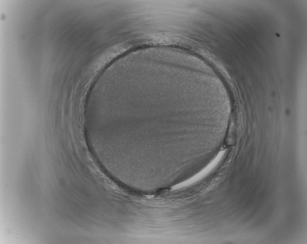 X0000085810673200704131947