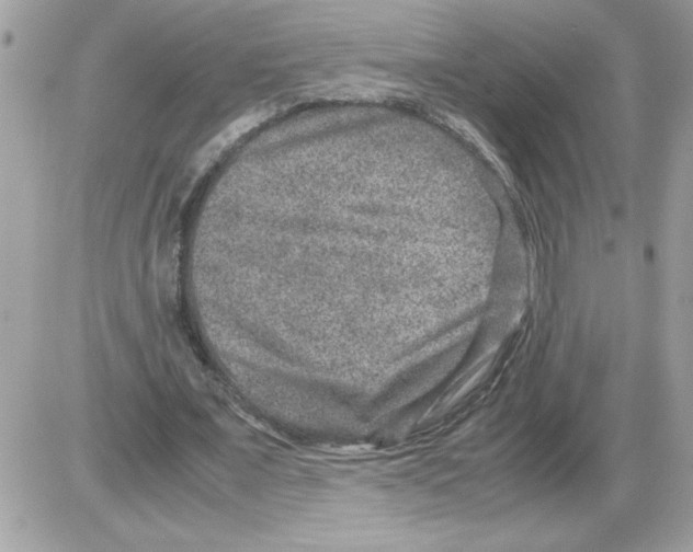 X0000085810675200704131947