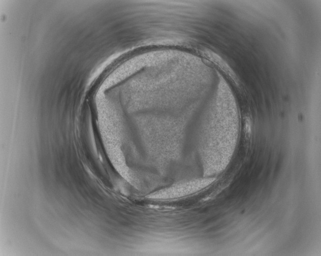 X0000085810676200704131947