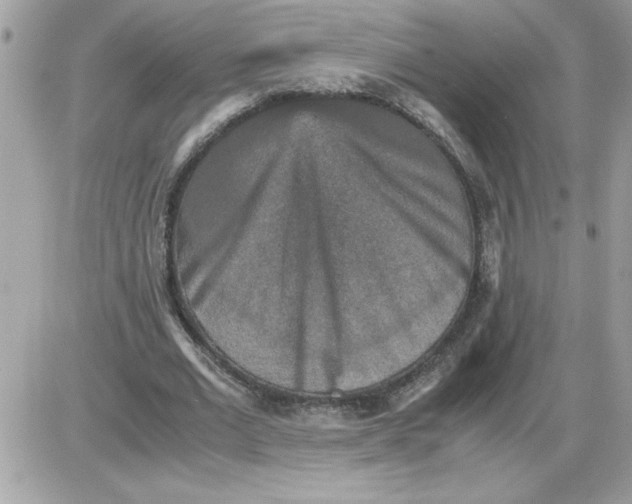 X0000085810677200704131947