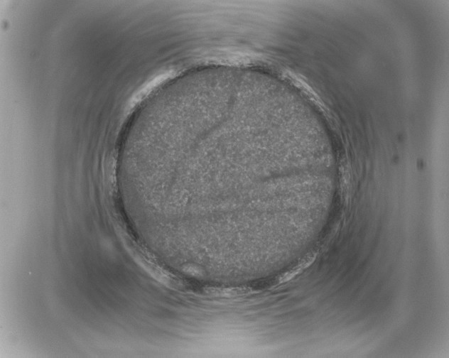 X0000085810679200704131947