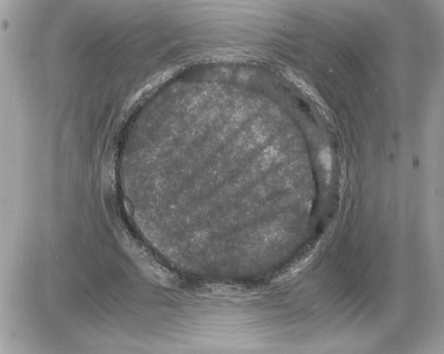 X0000085810681200704131947