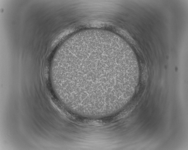 X0000085810683200704131947