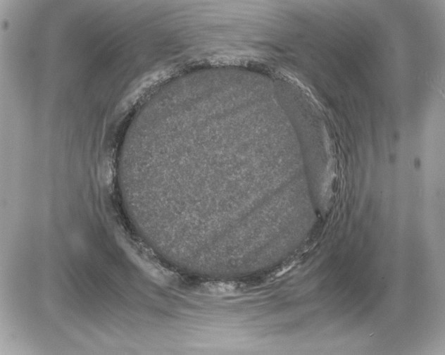 X0000085810687200704131947