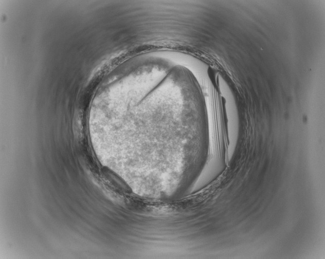 X0000085810688200704131947