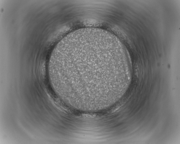 X0000085810690200704131947