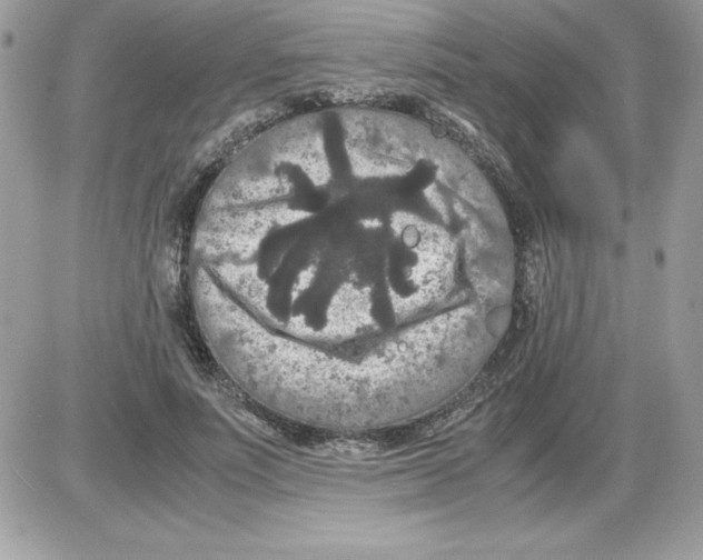 X0000085810691200704131947