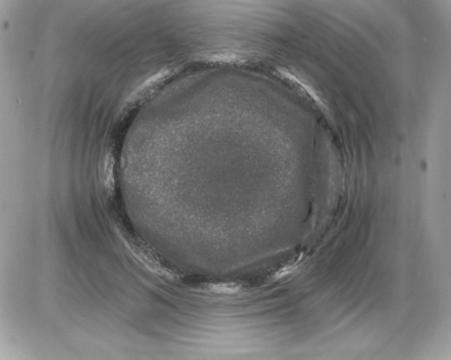 X0000085810692200704131947