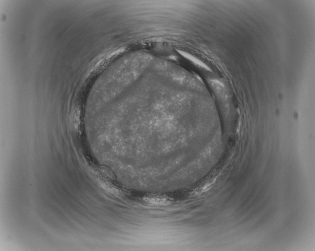 X0000085810693200704131947