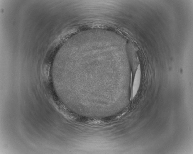 X0000085810695200704131947