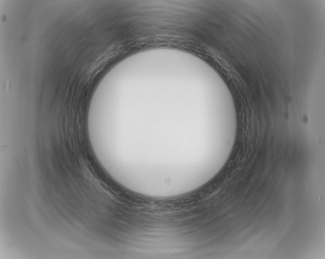 X0000085810696200704131947