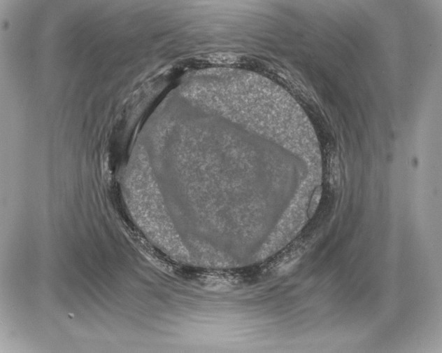 X0000085810697200704131947