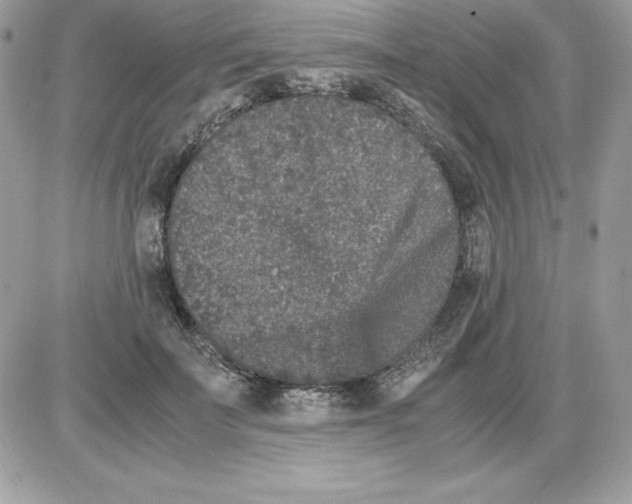 X0000085810699200704131947