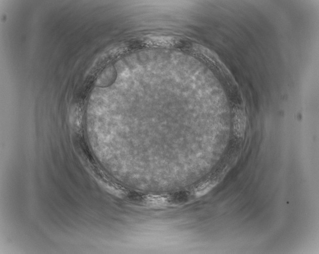 X0000085810701200704131947