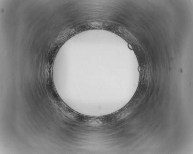 X0000085810702200704131947