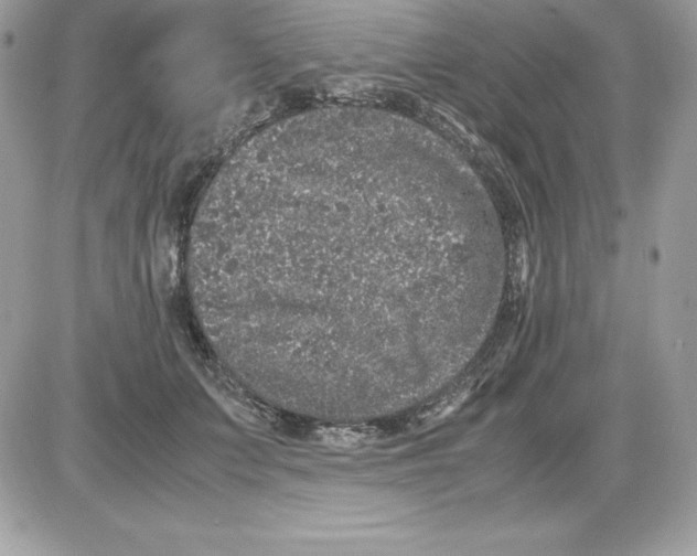 X0000085810703200704131947