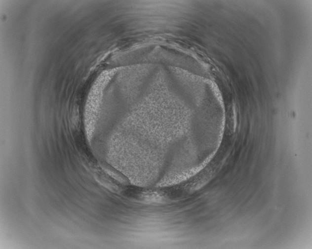 X0000085810704200704131947