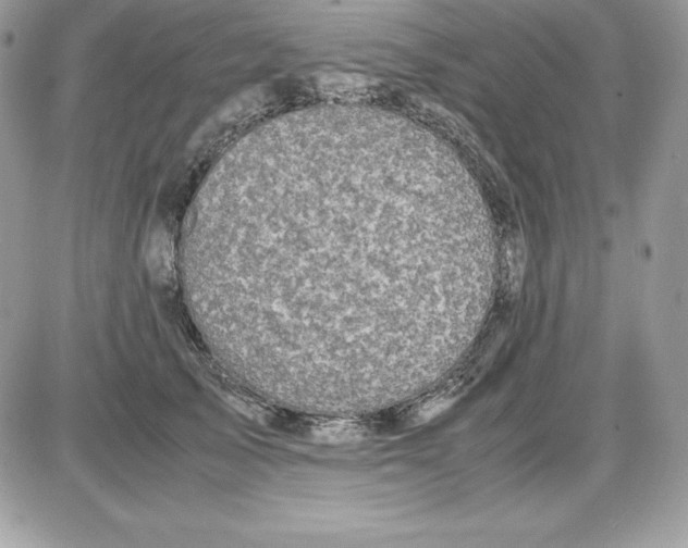 X0000085810705200704131947