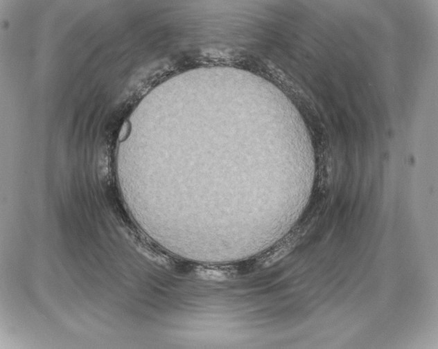 X0000085810706200704131947