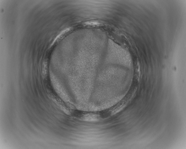 X0000085810708200704131946