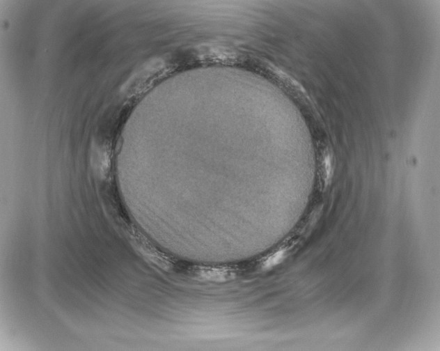 X0000085810709200704131946