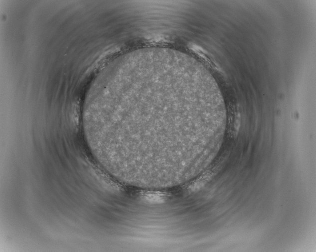 X0000085810710200704131946