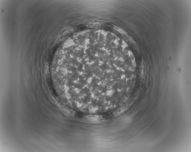 X0000085810711200704131946