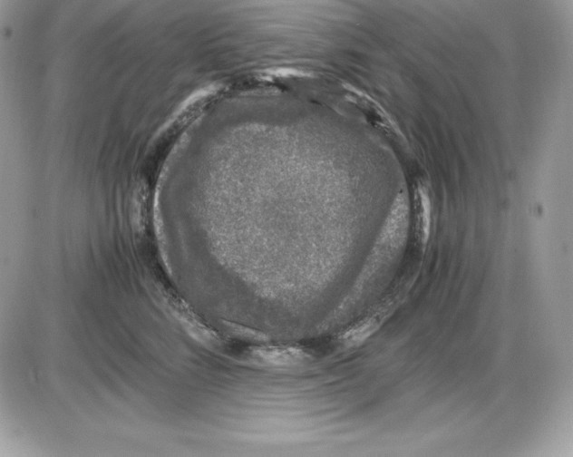 X0000085810712200704131946