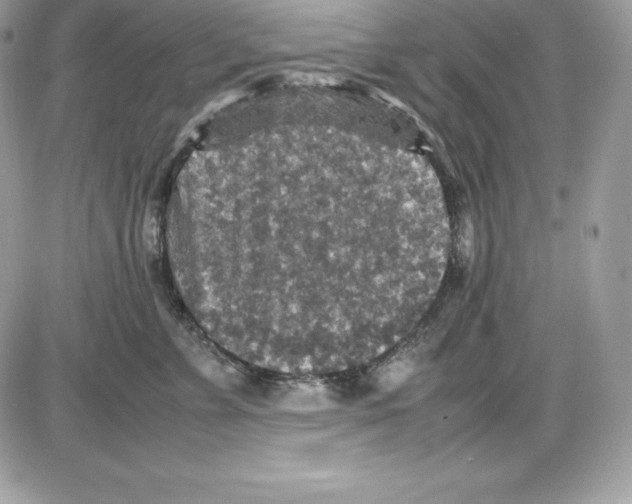 X0000085810715200704131946