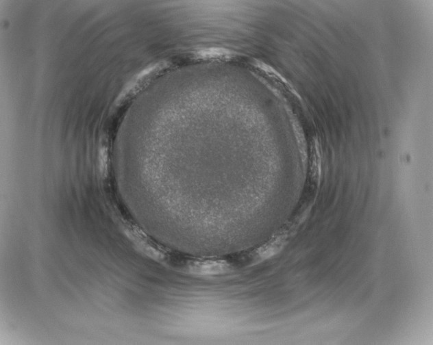 X0000085810716200704131946