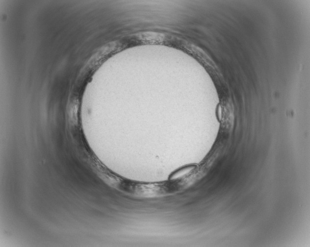 X0000085810717200704131946