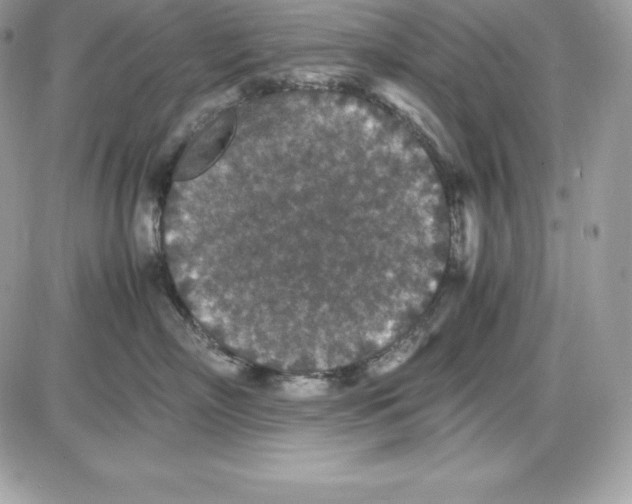 X0000085810718200704131946