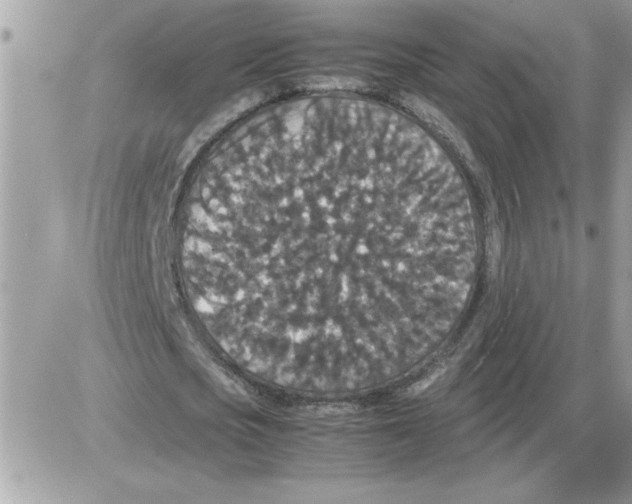 X0000085810721200704131945