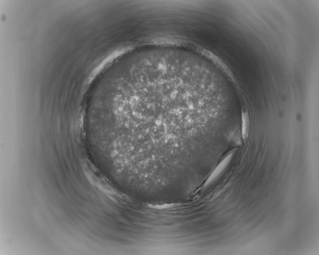 X0000085810723200704131946