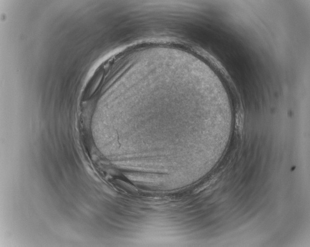 X0000085810724200704131946