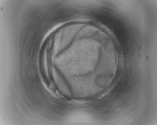 X0000085810726200704131946