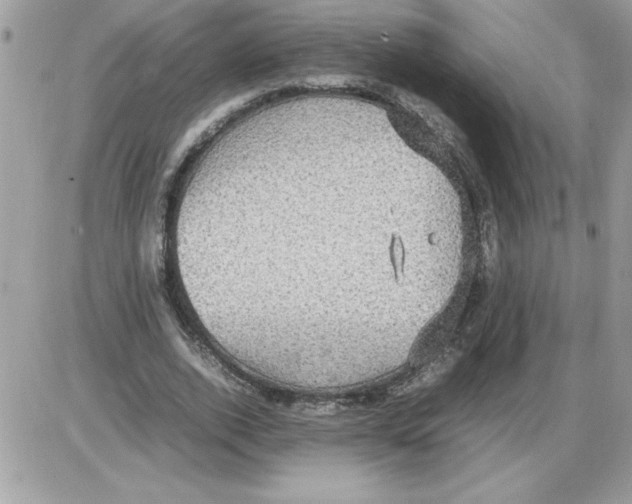 X0000085810728200704131946