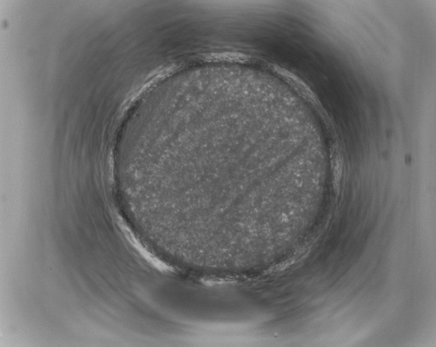 X0000085810729200704131946