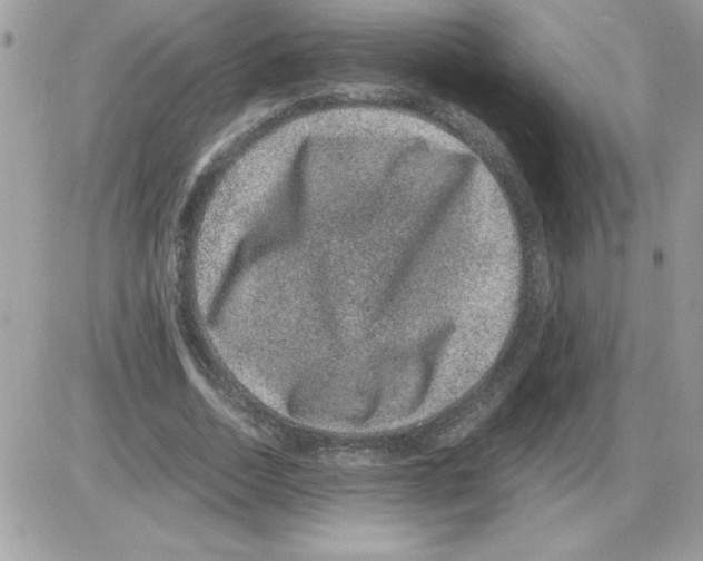 X0000085810730200704131946