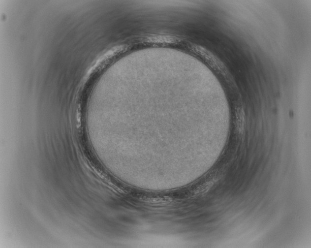 X0000085810731200704131946