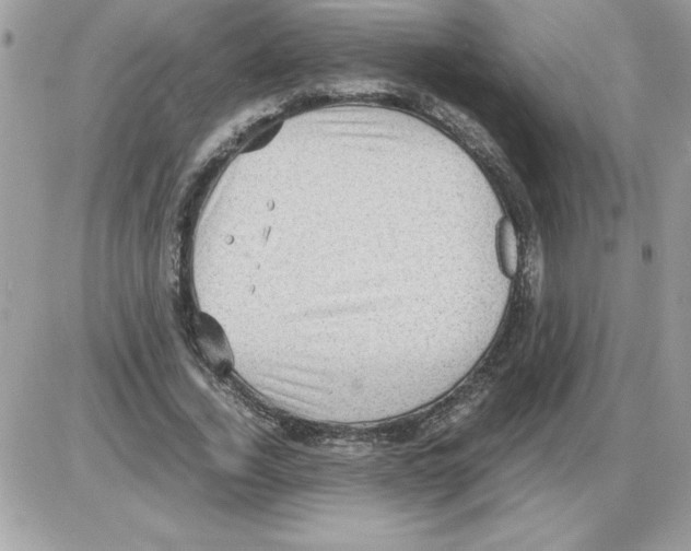 X0000085810732200704131946