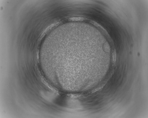 X0000085810733200704131946