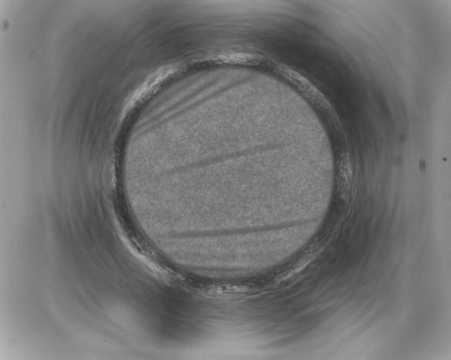 X0000085810734200704131946