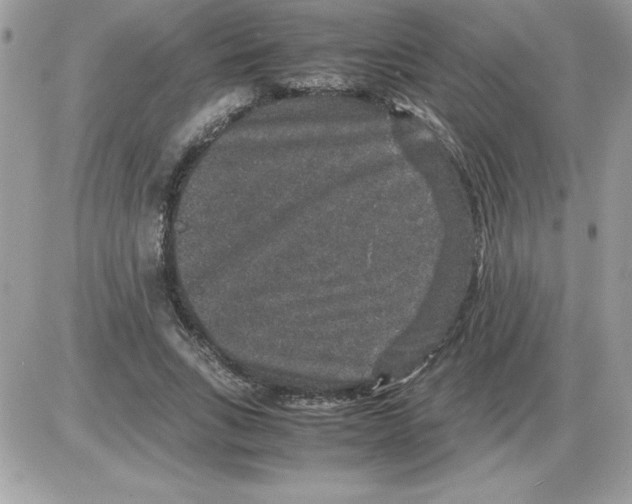 X0000085810735200704131946