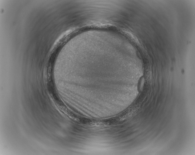 X0000085810736200704131946